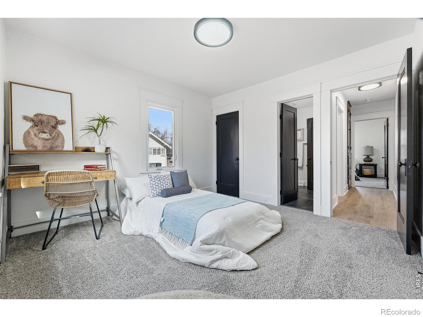 MLS Image #17 for 830  martin street,longmont, Colorado