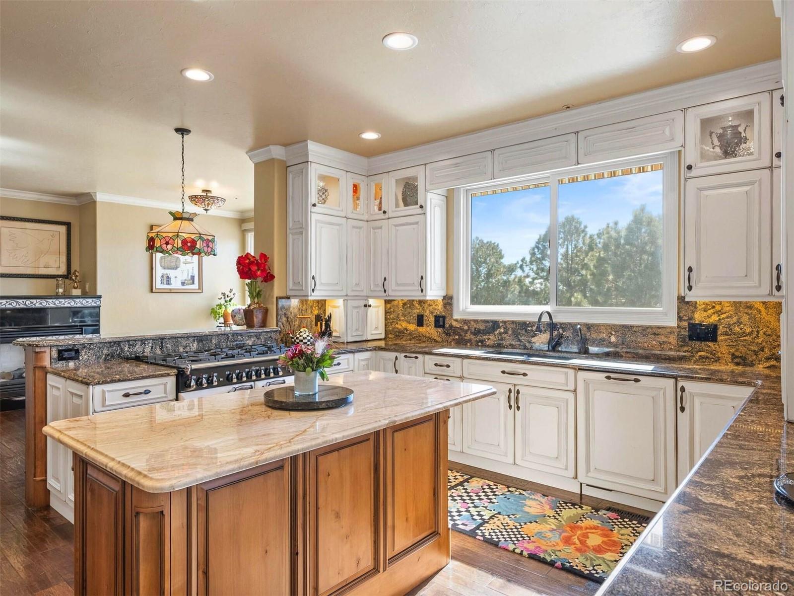 MLS Image #14 for 2124  ridge plaza drive,castle rock, Colorado