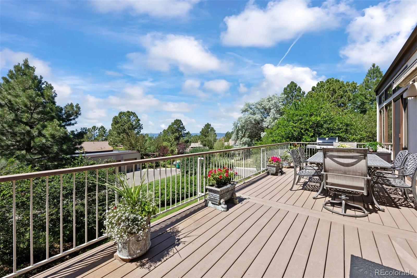MLS Image #41 for 2124  ridge plaza drive,castle rock, Colorado