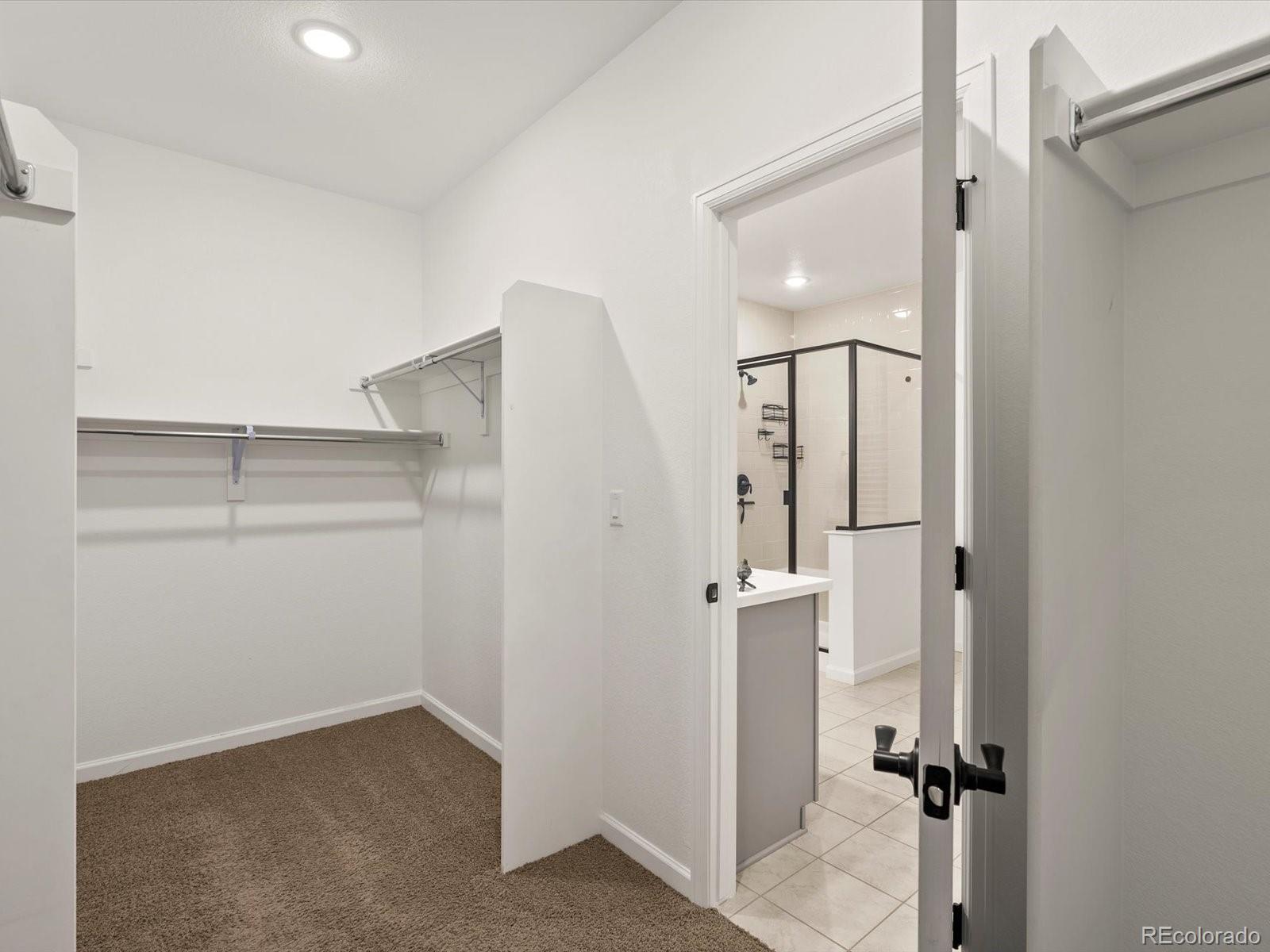 MLS Image #25 for 3044  bivouac point,castle rock, Colorado