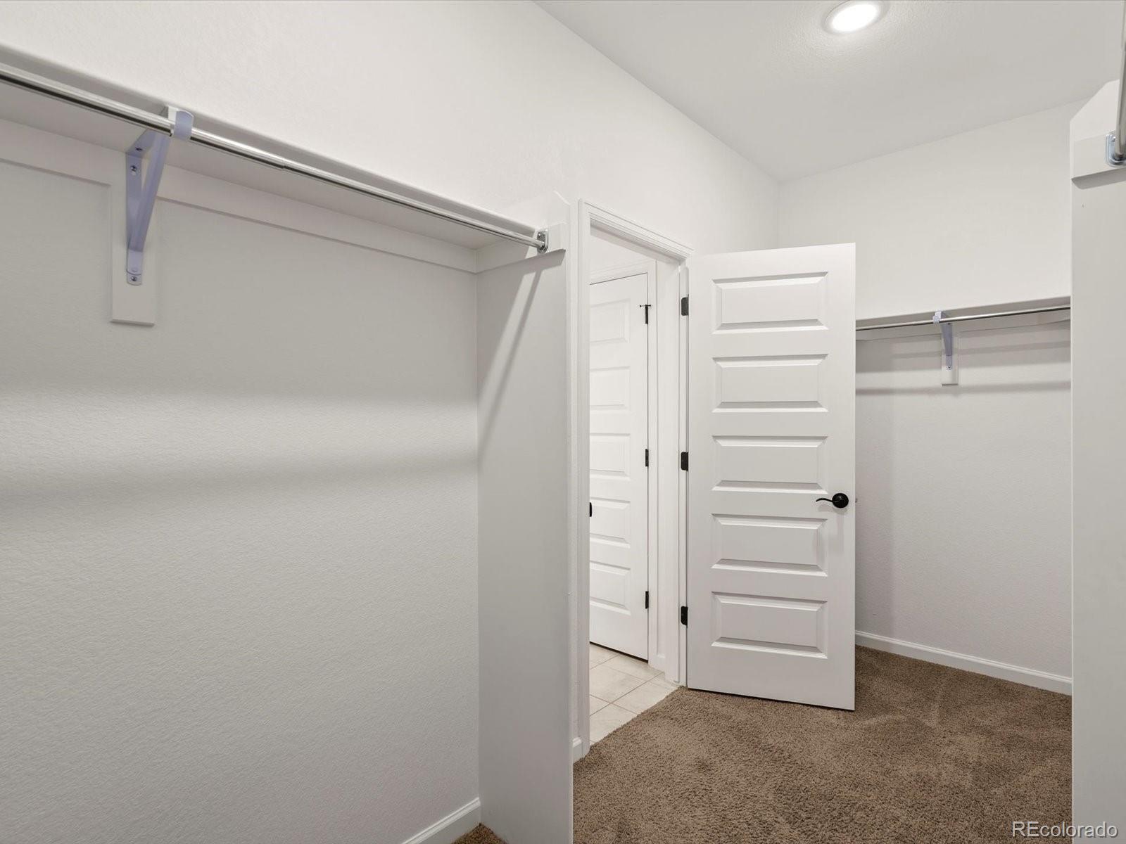 MLS Image #26 for 3044  bivouac point,castle rock, Colorado