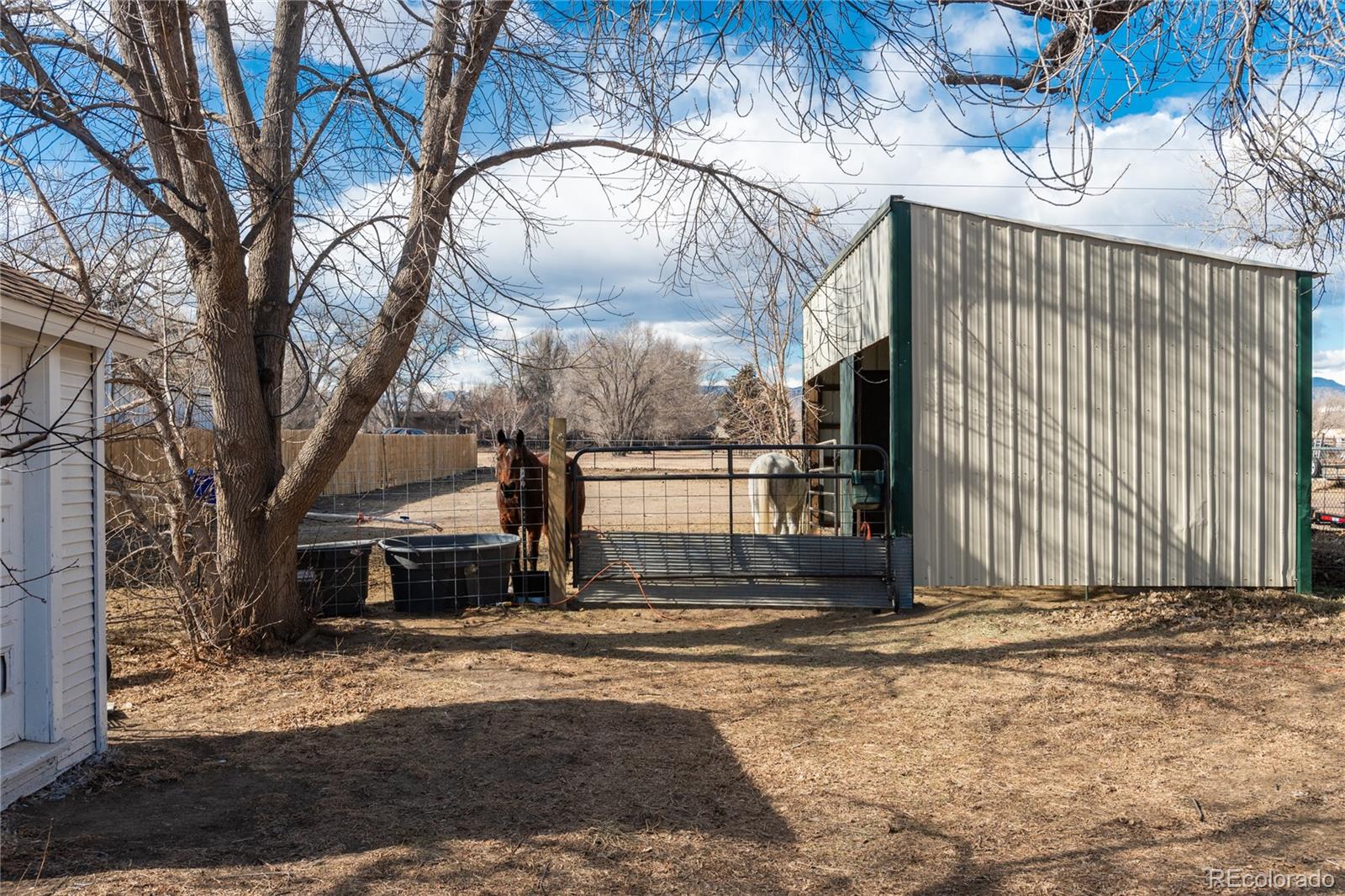 MLS Image #38 for 4695  parfet street,wheat ridge, Colorado
