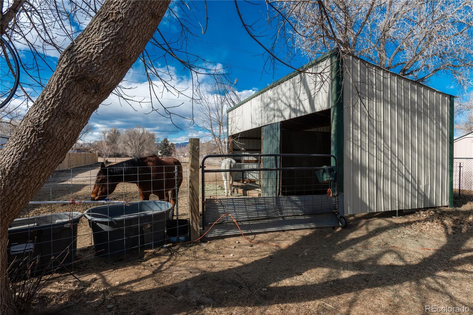 MLS Image #39 for 4695  parfet street,wheat ridge, Colorado