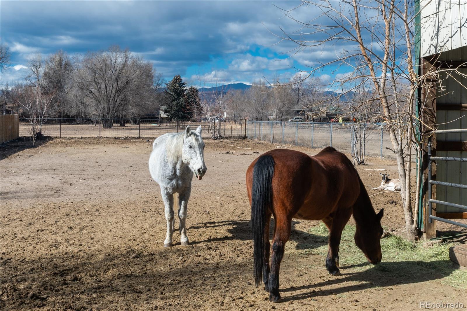 MLS Image #42 for 4695  parfet street,wheat ridge, Colorado