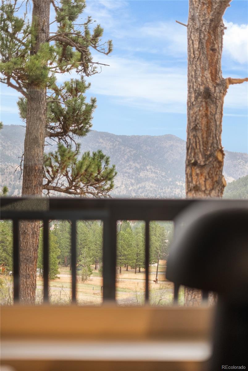 MLS Image #29 for 96  moose road,lyons, Colorado