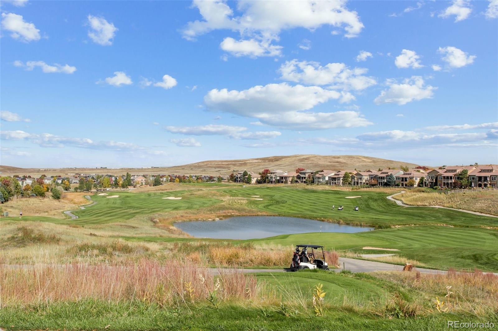 MLS Image #45 for 2007  heritage place,erie, Colorado