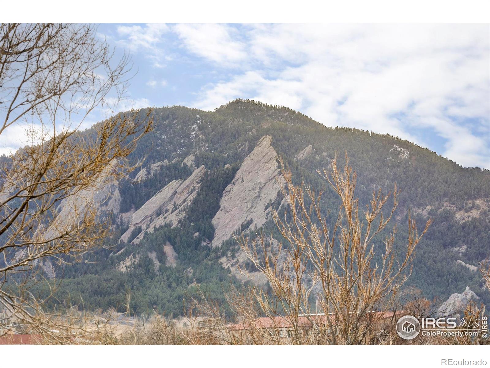 MLS Image #8 for 1430  18th street,boulder, Colorado