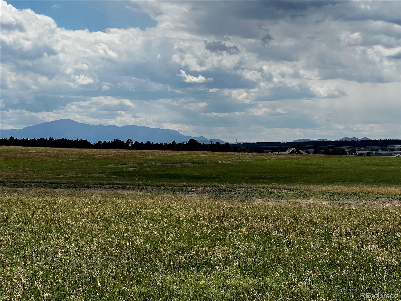 MLS Image #8 for 16990  early light drive,colorado springs, Colorado