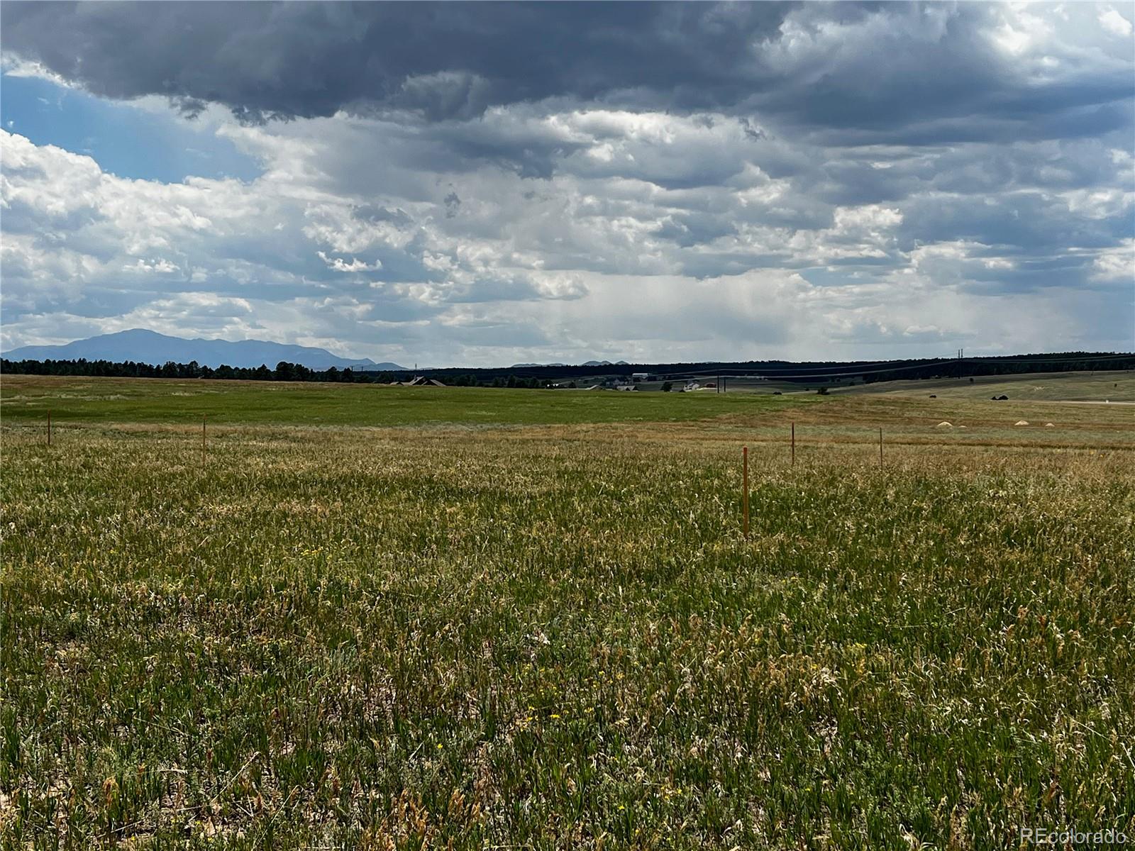 MLS Image #9 for 16990  early light drive,colorado springs, Colorado