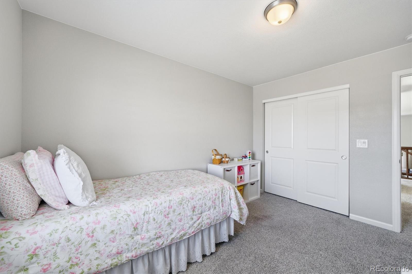 MLS Image #23 for 9063  fraser river street,littleton, Colorado