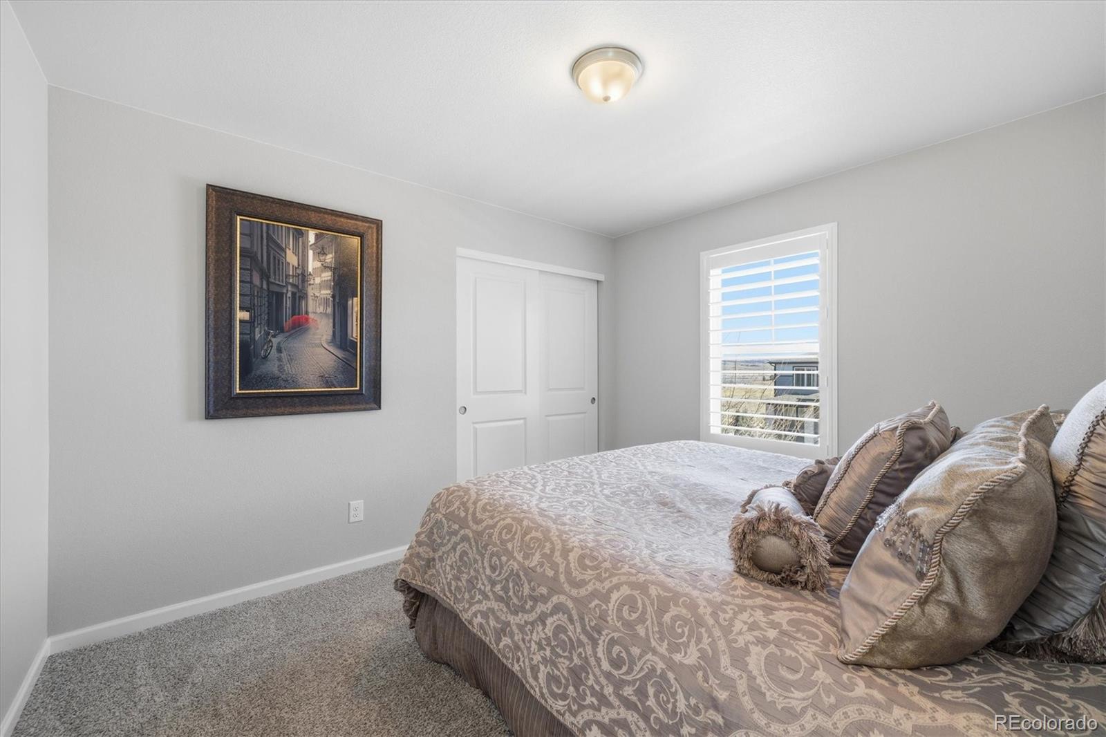 MLS Image #25 for 9063  fraser river street,littleton, Colorado