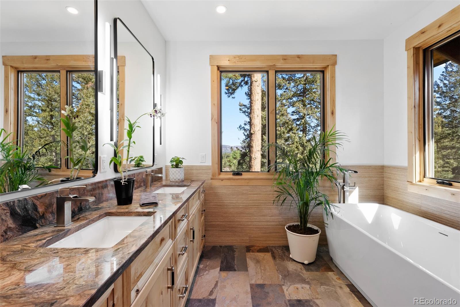 MLS Image #26 for 4446  songbird lane,evergreen, Colorado