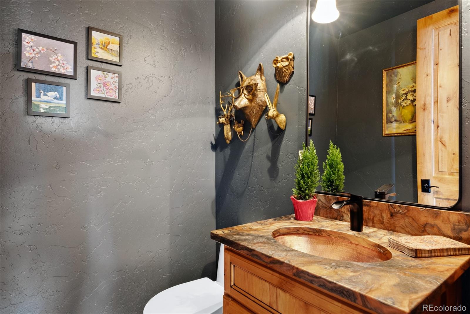 MLS Image #29 for 4446  songbird lane,evergreen, Colorado