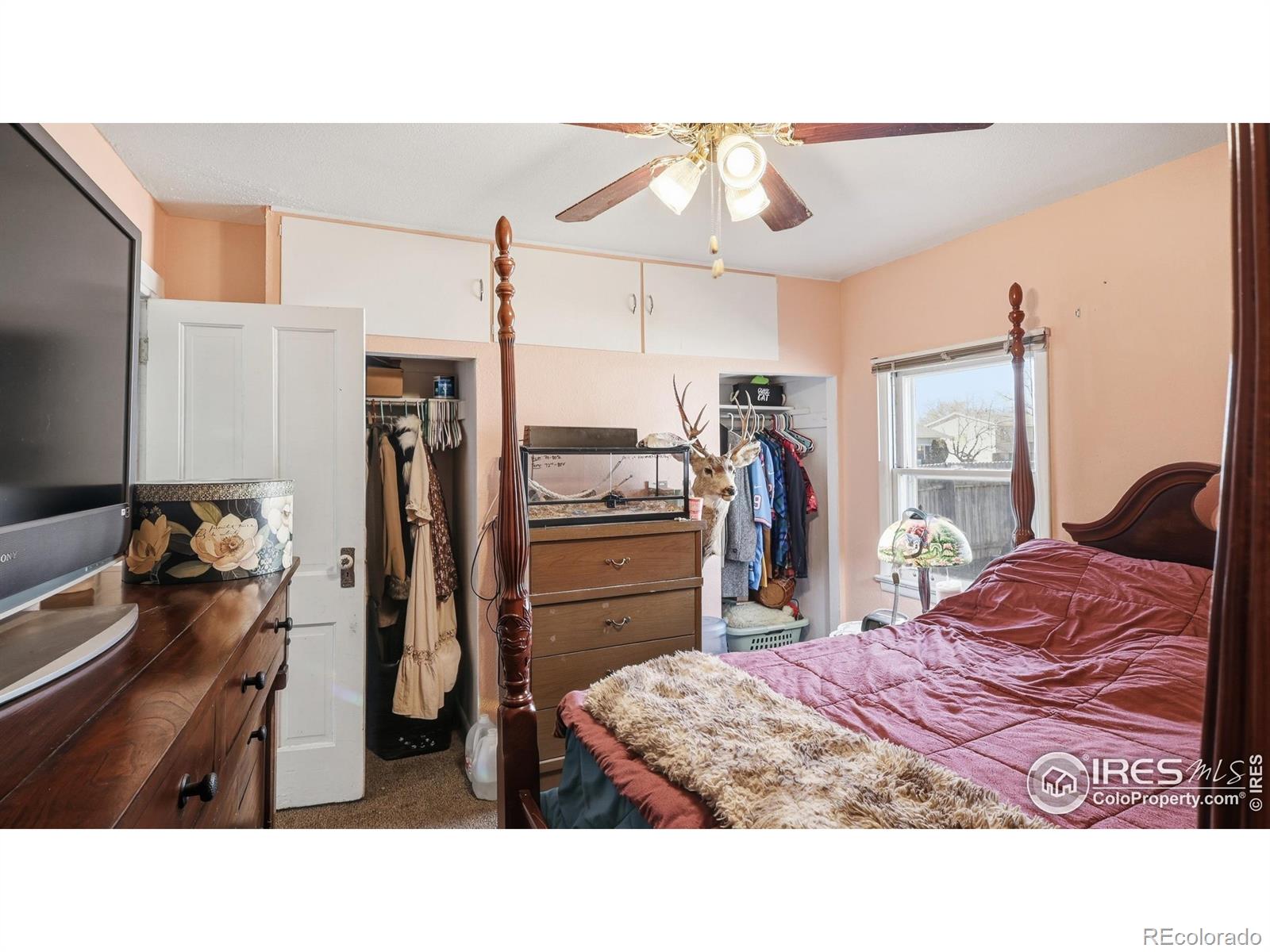 MLS Image #10 for 203  clark street,kersey, Colorado