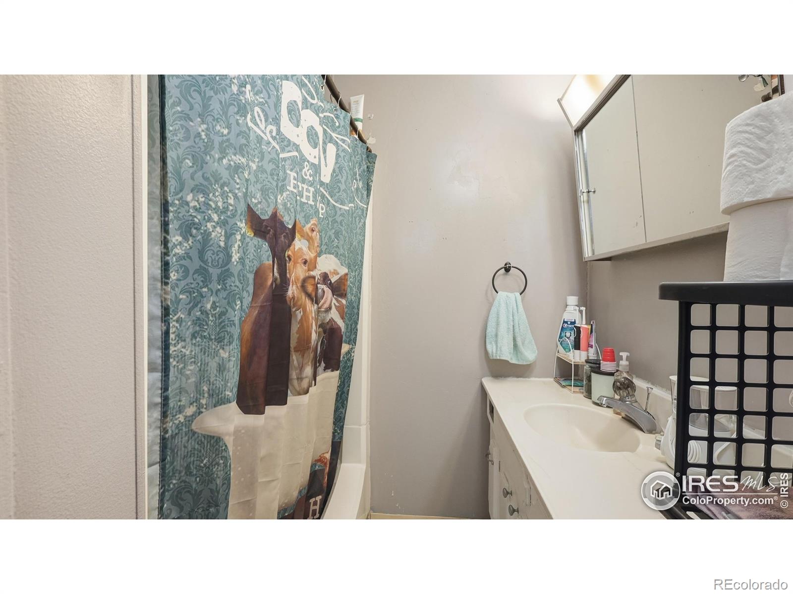 MLS Image #13 for 203  clark street,kersey, Colorado