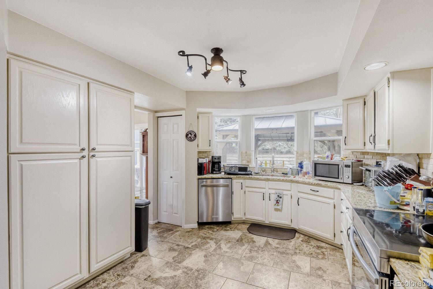 MLS Image #10 for 10896  omaha lane,parker, Colorado