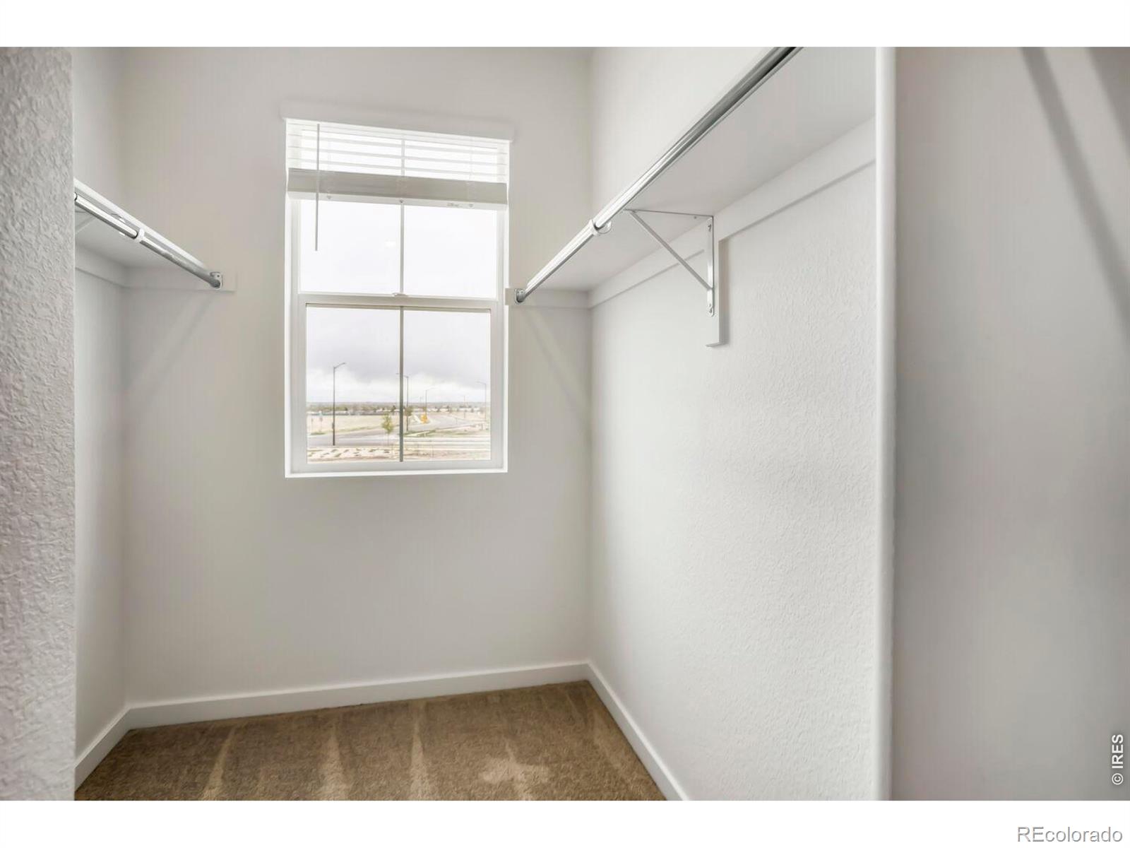 MLS Image #13 for 3067  gladstone avenue,loveland, Colorado