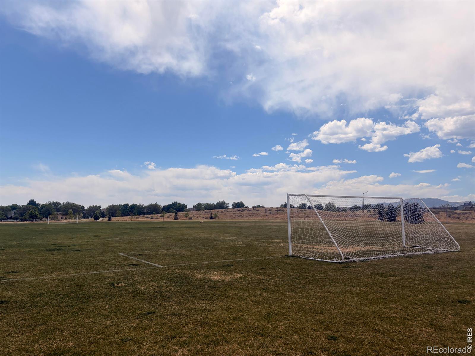 MLS Image #18 for 3067  gladstone avenue,loveland, Colorado