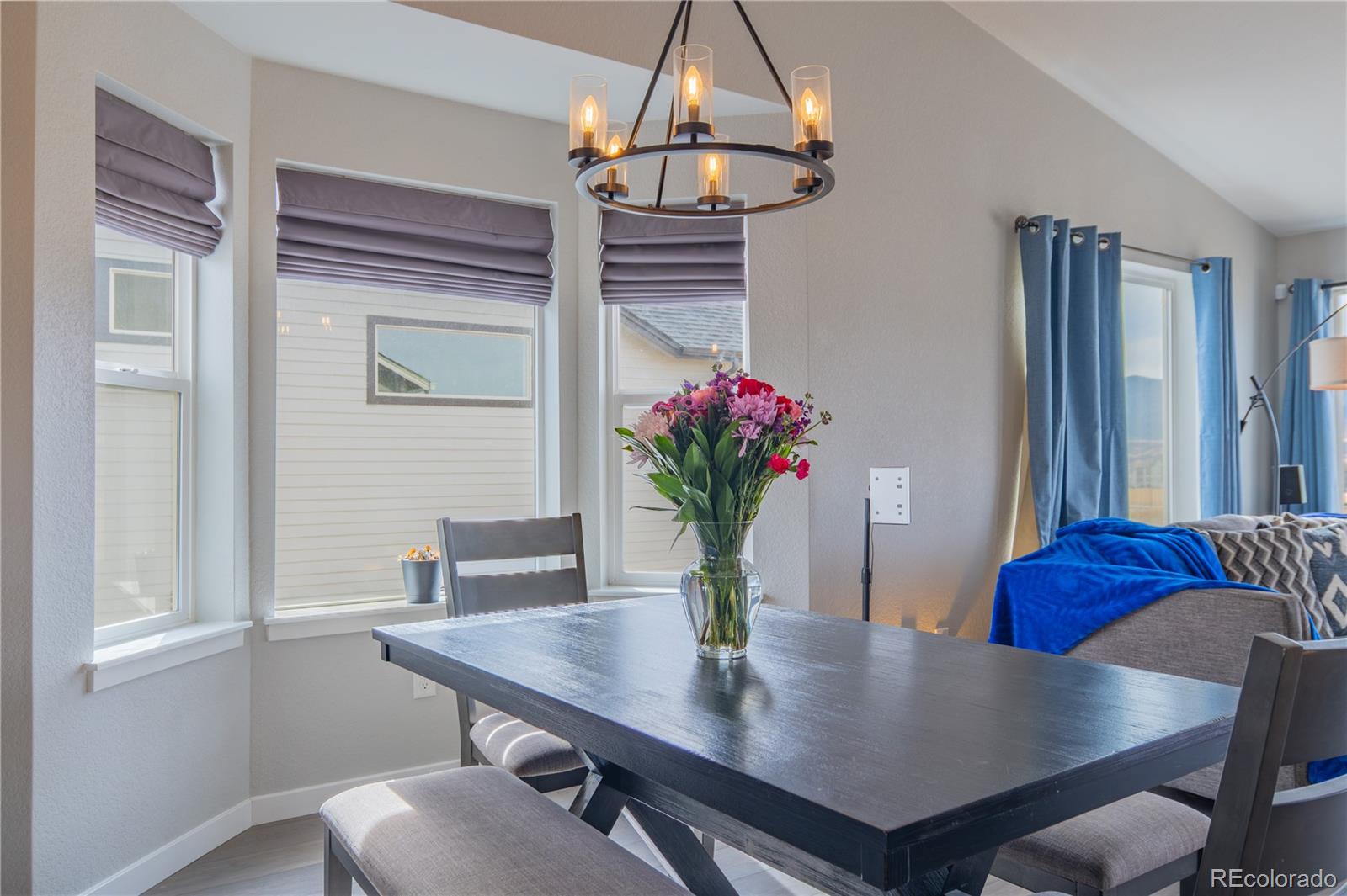 MLS Image #11 for 16870  roaming elk drive,monument, Colorado