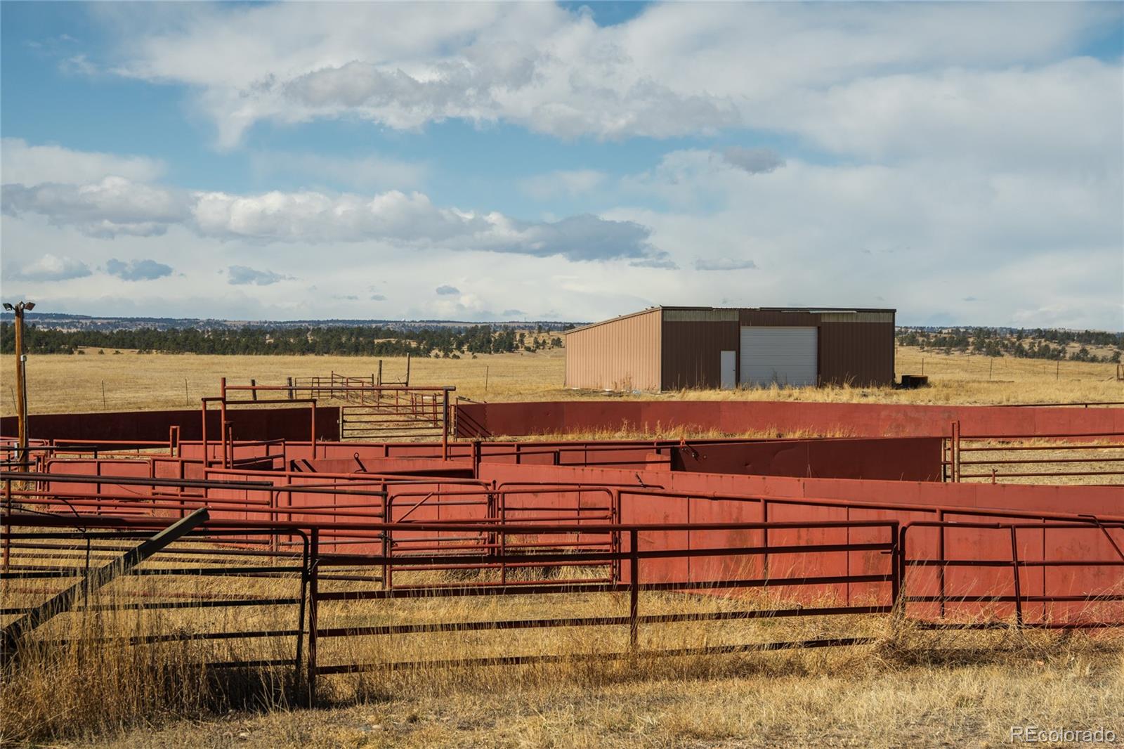 MLS Image #45 for 24063  cr 122 ,ramah, Colorado