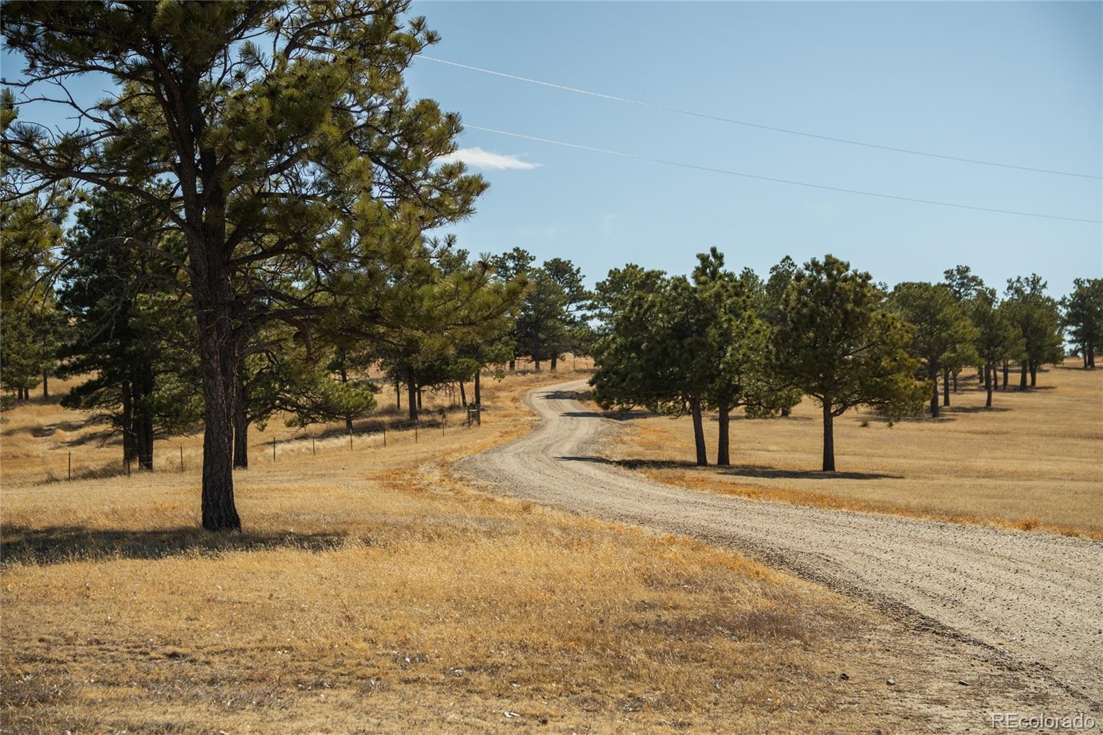 MLS Image #46 for 24063  cr 122 ,ramah, Colorado