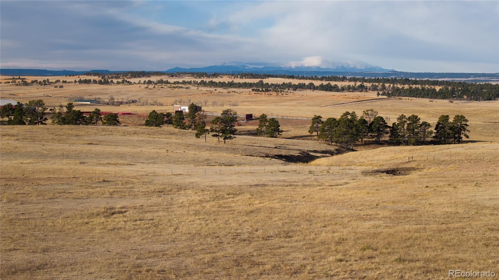 MLS Image #49 for 24063  cr 122 ,ramah, Colorado