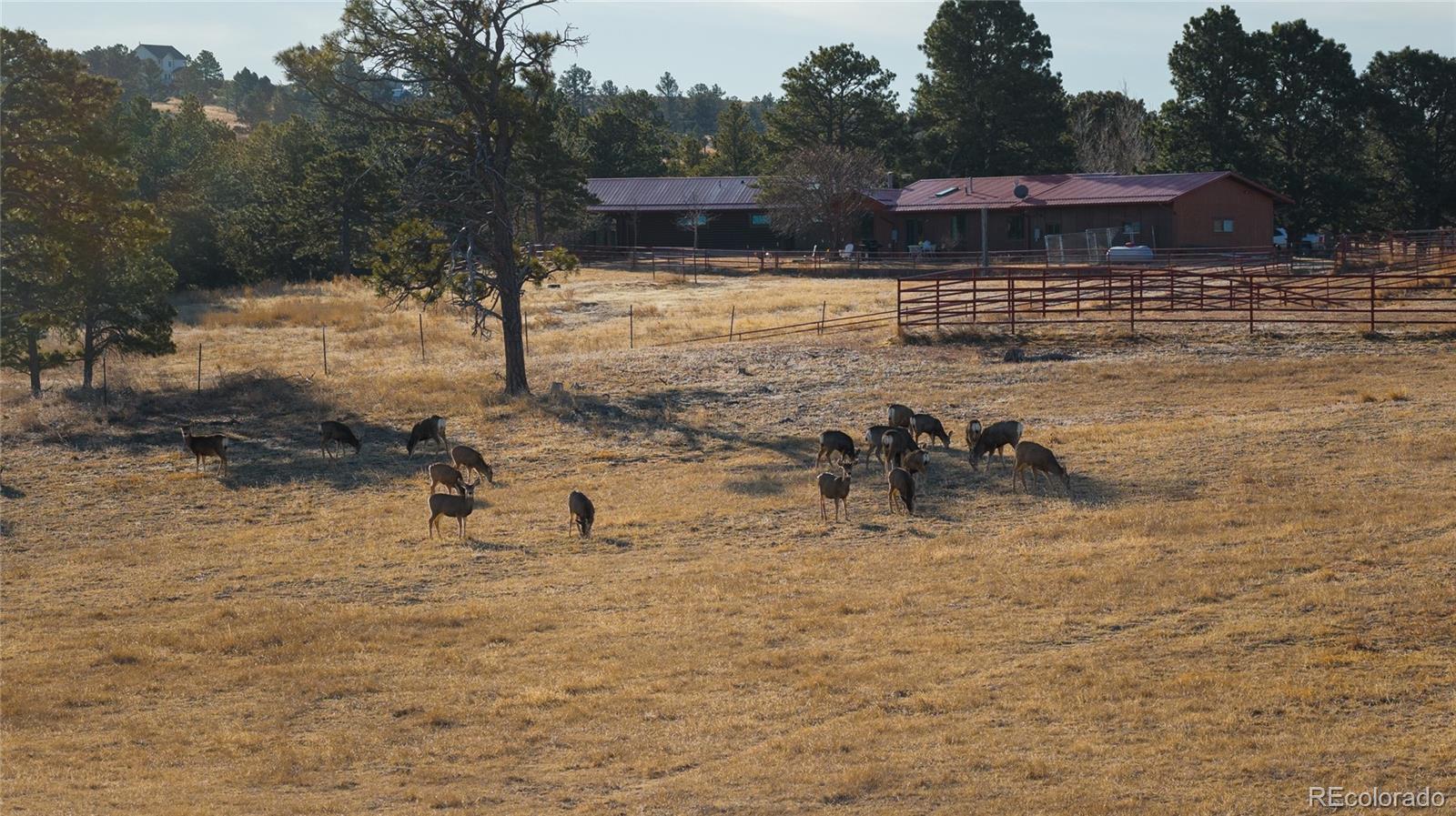 MLS Image #9 for 24063  cr 122 ,ramah, Colorado