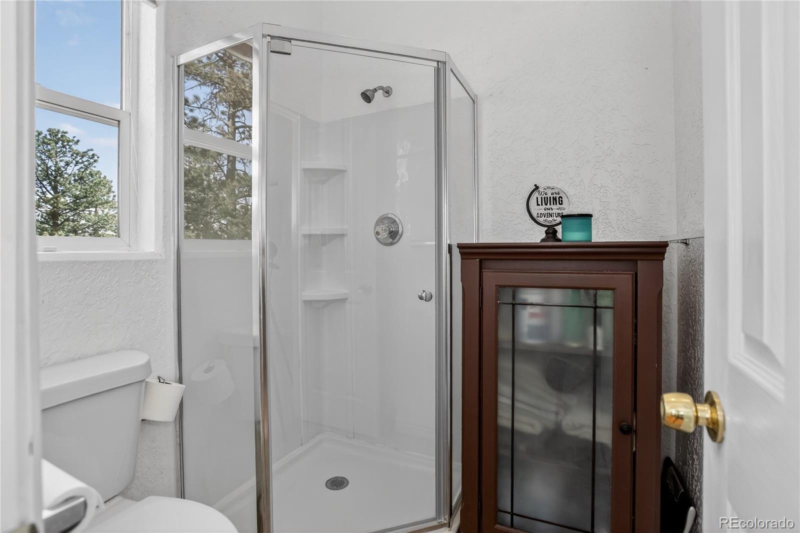 MLS Image #22 for 104  pinon road,bailey, Colorado