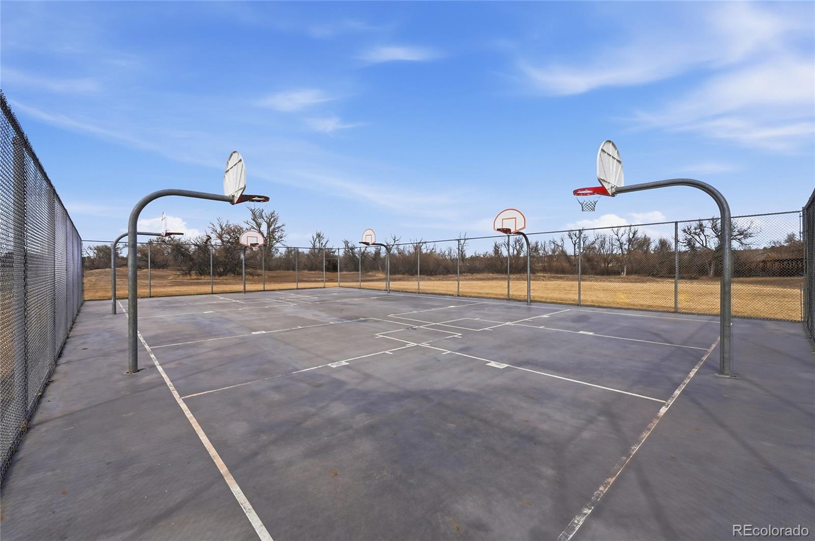 MLS Image #45 for 9227  rolling way,parker, Colorado