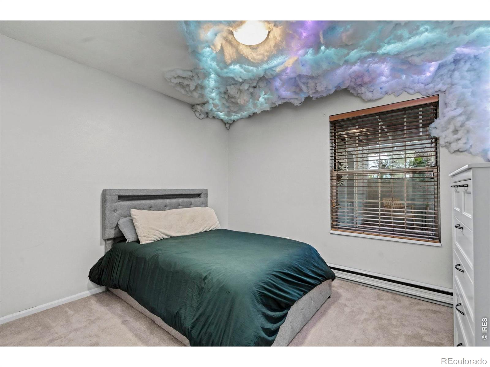MLS Image #11 for 1601 w swallow road,fort collins, Colorado