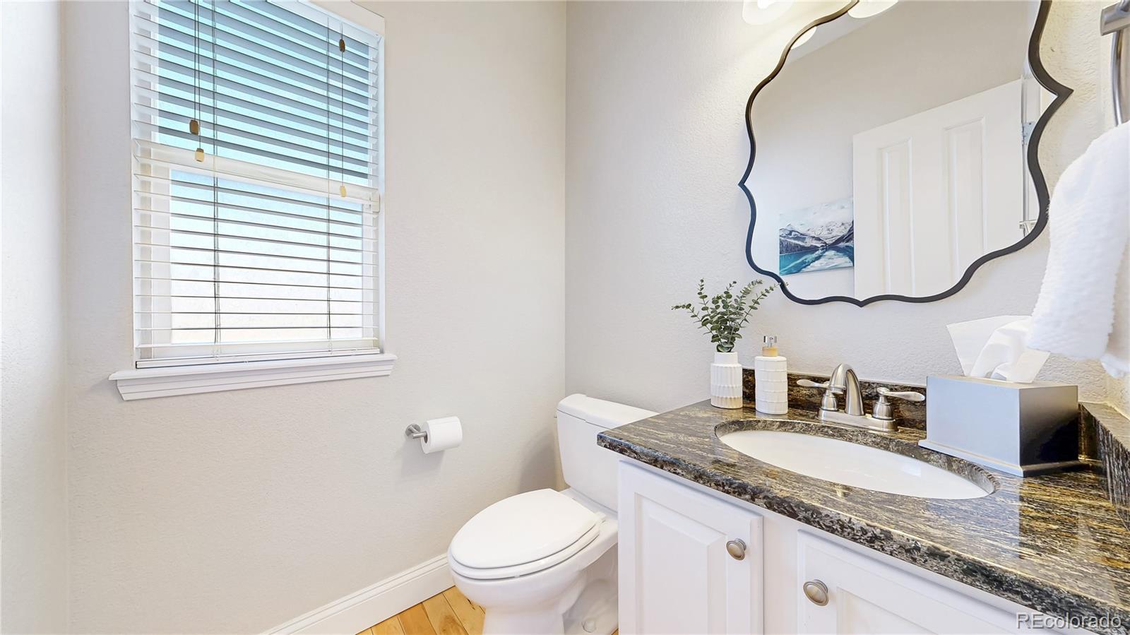 MLS Image #14 for 2628  bay point lane,broomfield, Colorado