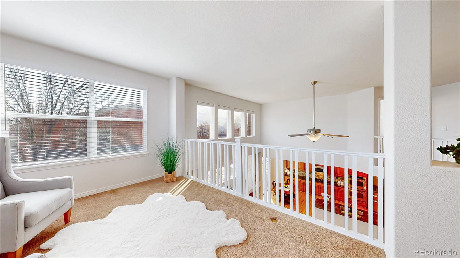 MLS Image #29 for 2628  bay point lane,broomfield, Colorado