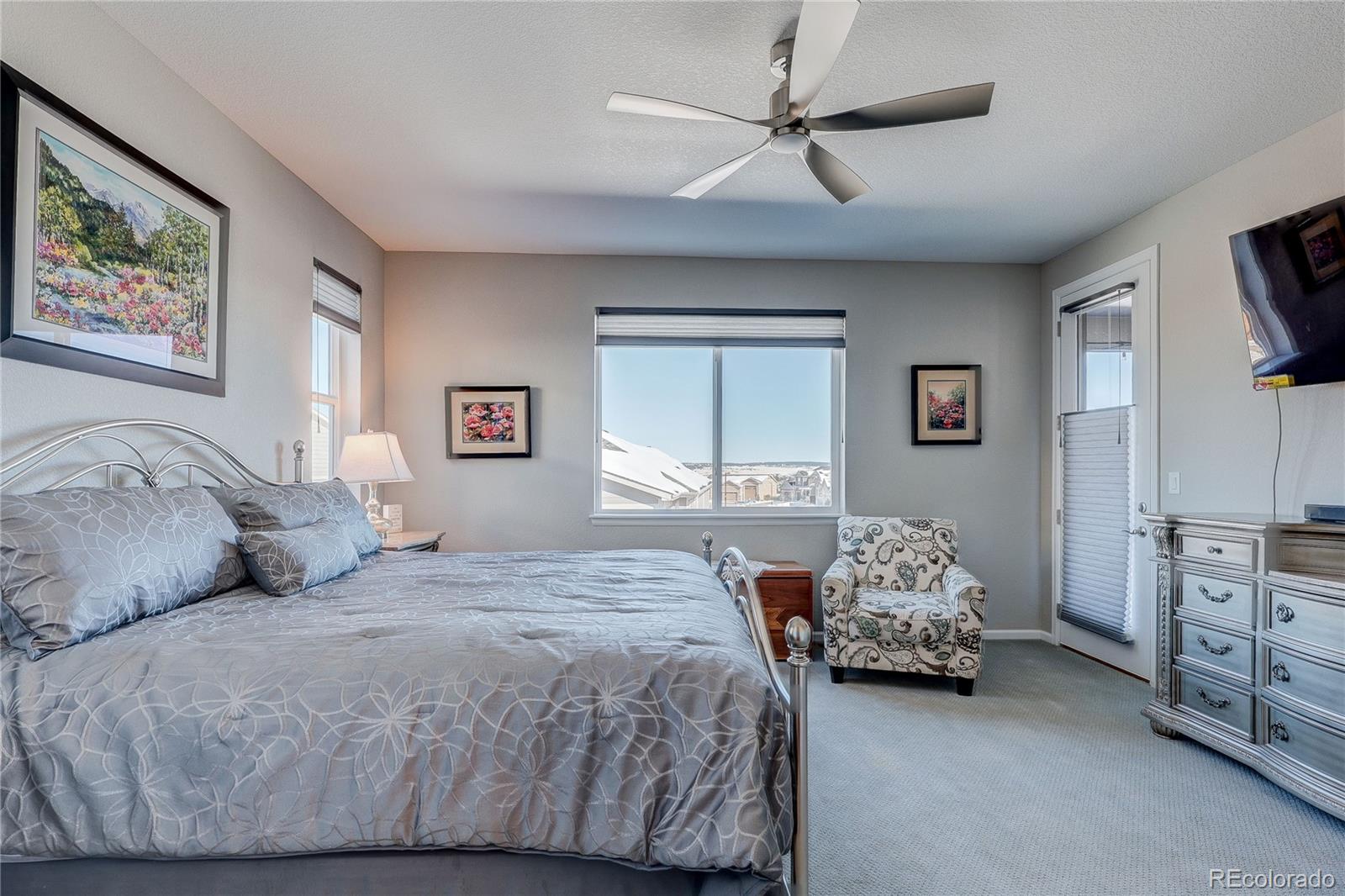 MLS Image #19 for 6602  mentha drive,castle rock, Colorado