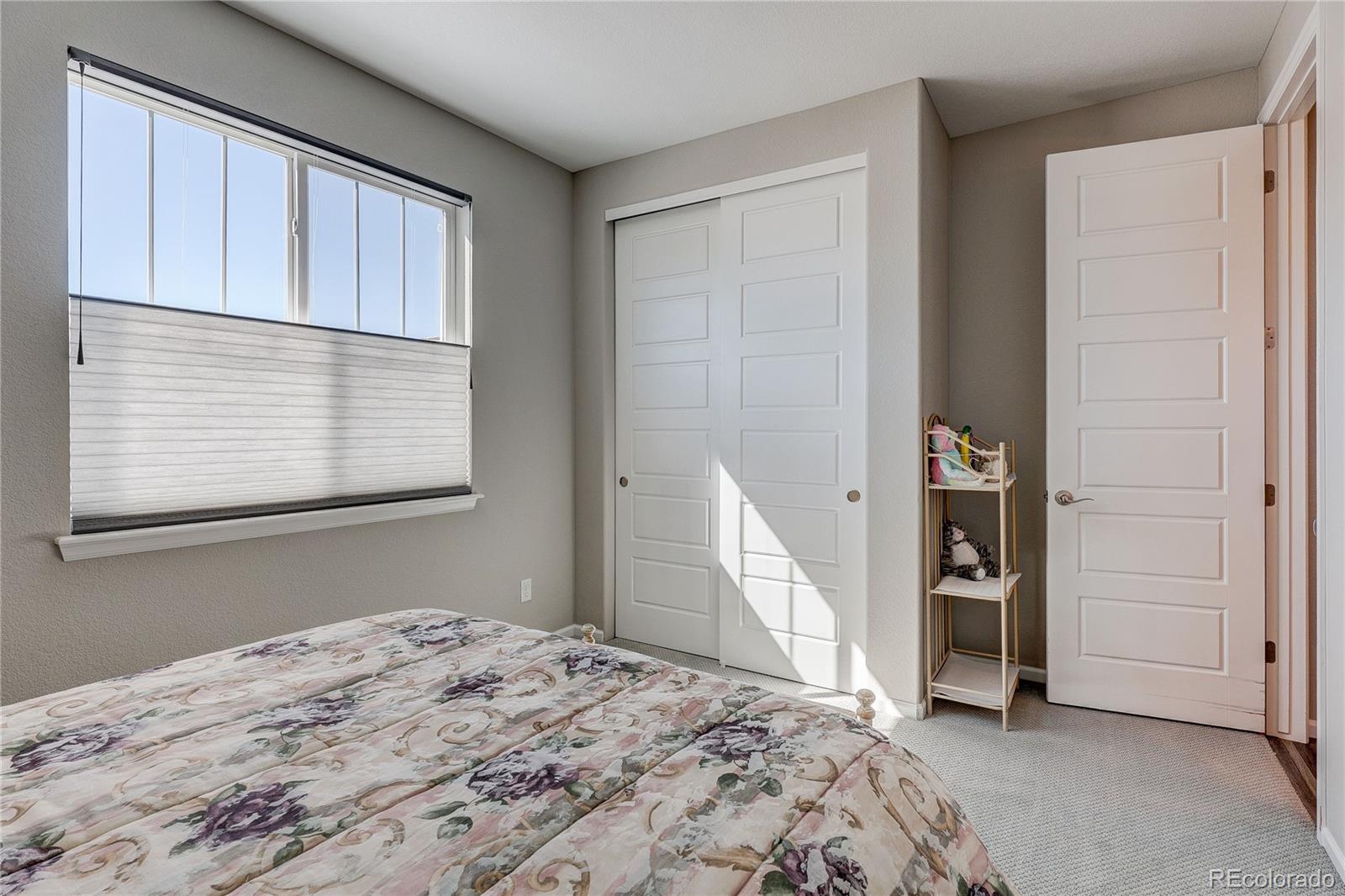 MLS Image #25 for 6602  mentha drive,castle rock, Colorado