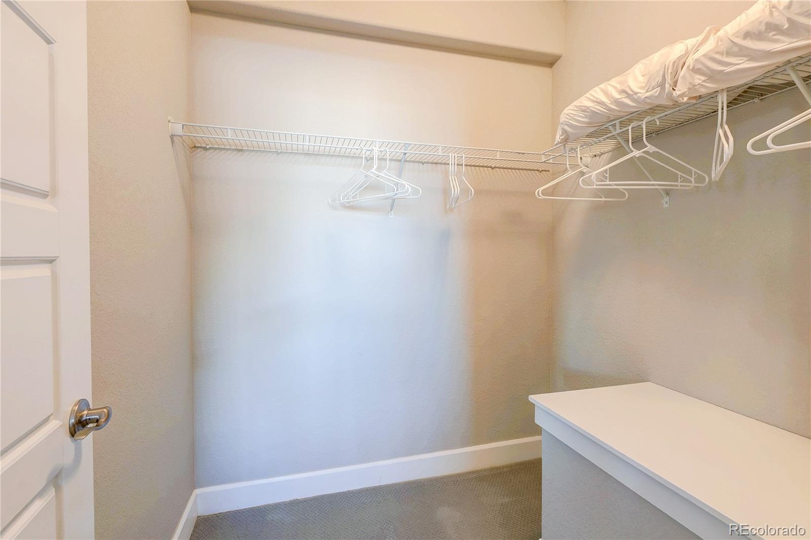 MLS Image #38 for 6602  mentha drive,castle rock, Colorado