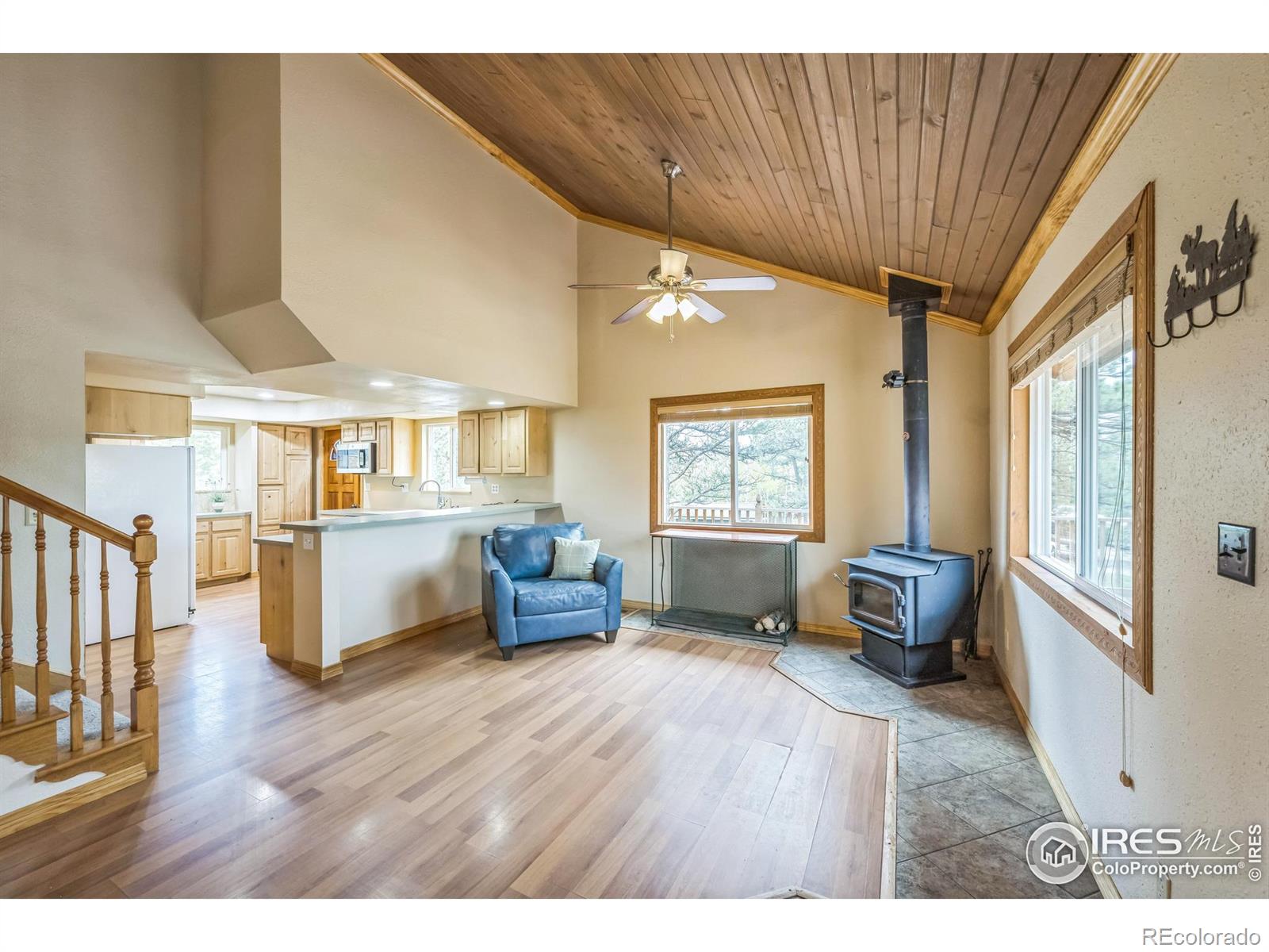 MLS Image #15 for 24192 w county road 74e ,red feather lakes, Colorado