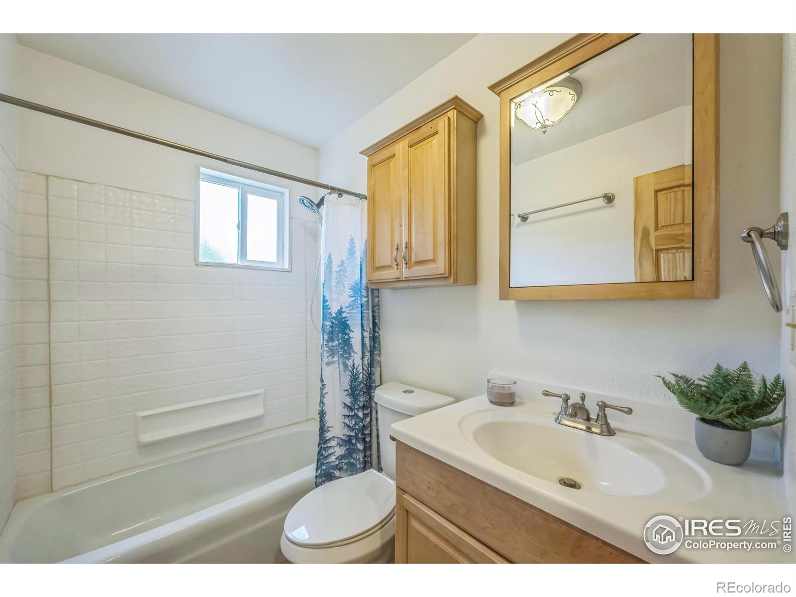 MLS Image #27 for 24192 w county road 74e ,red feather lakes, Colorado
