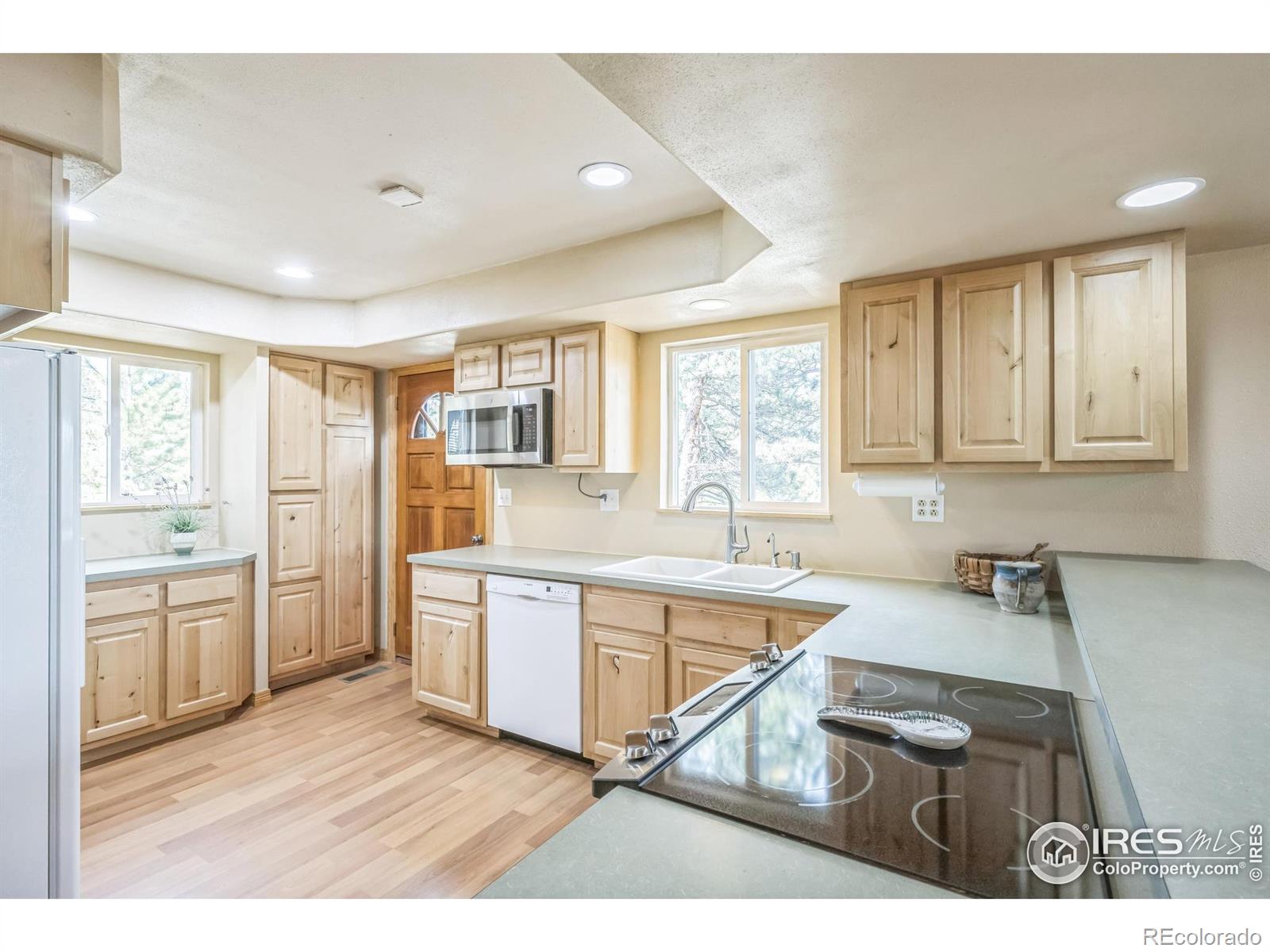 MLS Image #8 for 24192 w county road 74e ,red feather lakes, Colorado