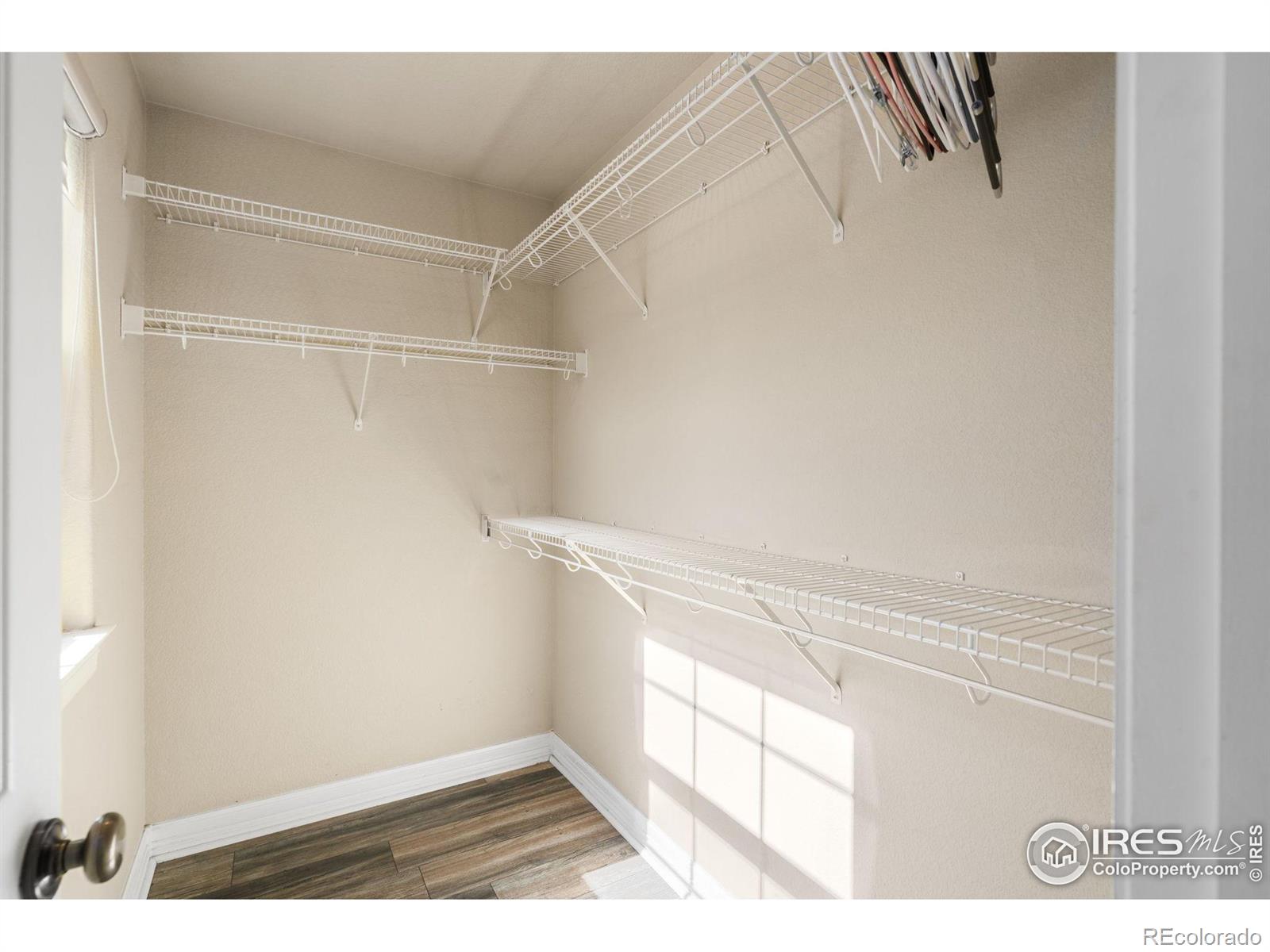 MLS Image #34 for 1300  grand avenue,windsor, Colorado