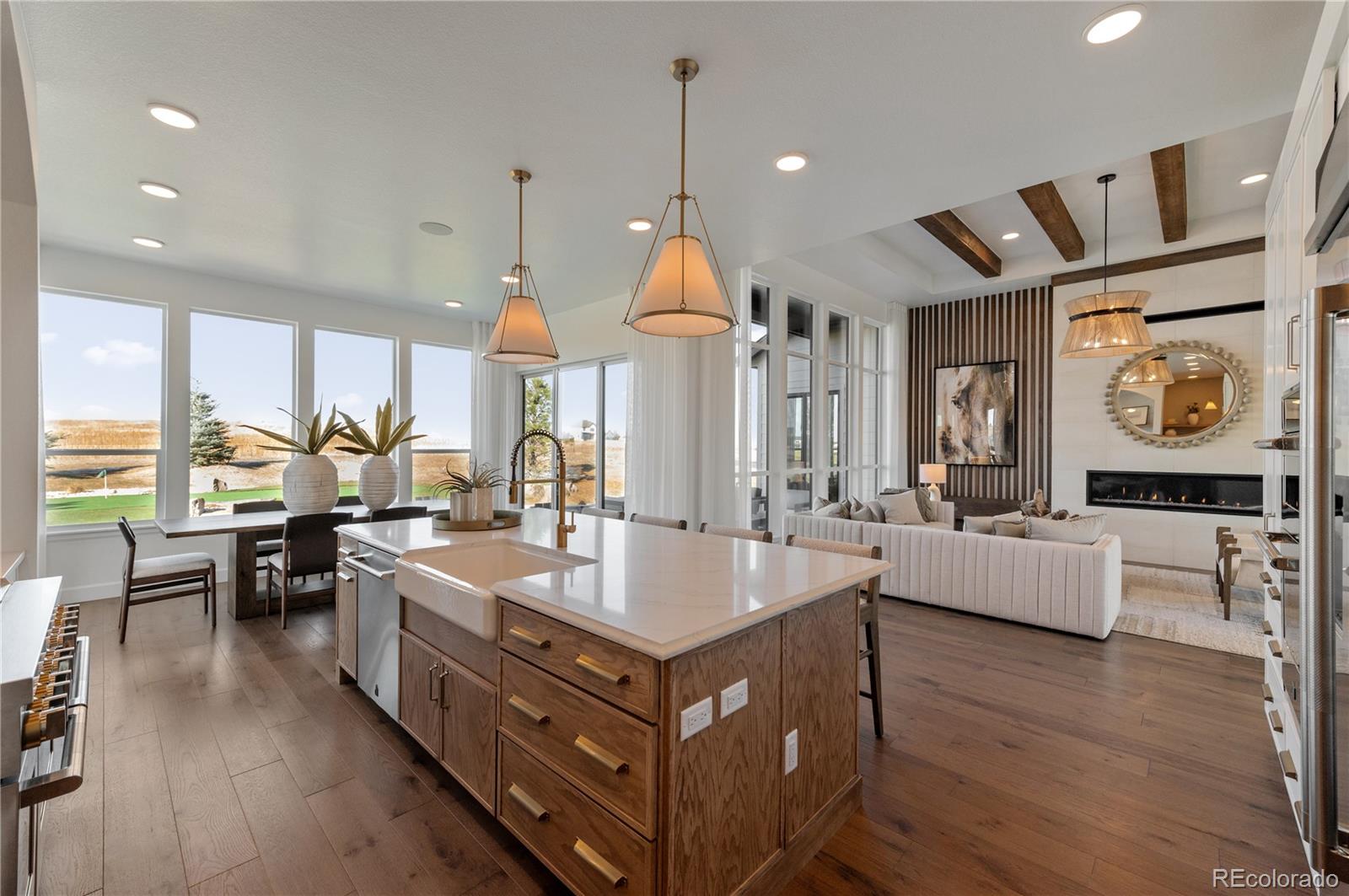 MLS Image #13 for 8751  geyser peak way,parker, Colorado