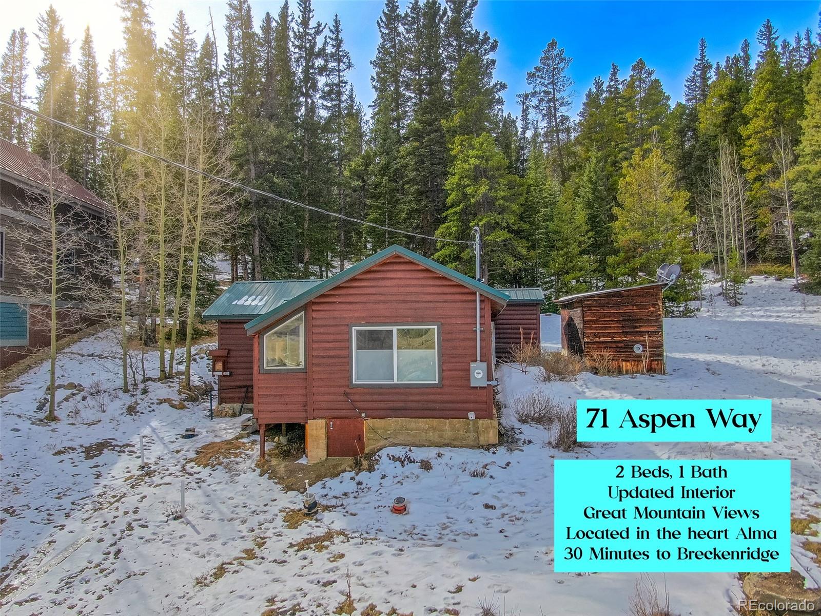 MLS Image #0 for 71  aspen street,alma, Colorado