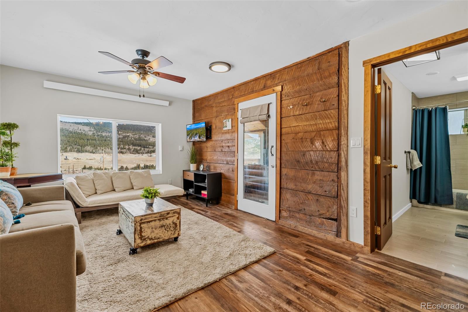 MLS Image #3 for 71  aspen street,alma, Colorado