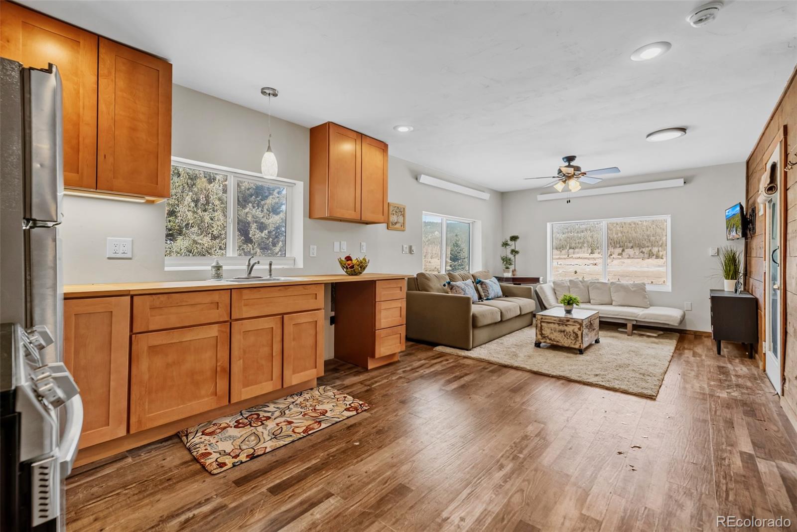 MLS Image #8 for 71  aspen street,alma, Colorado