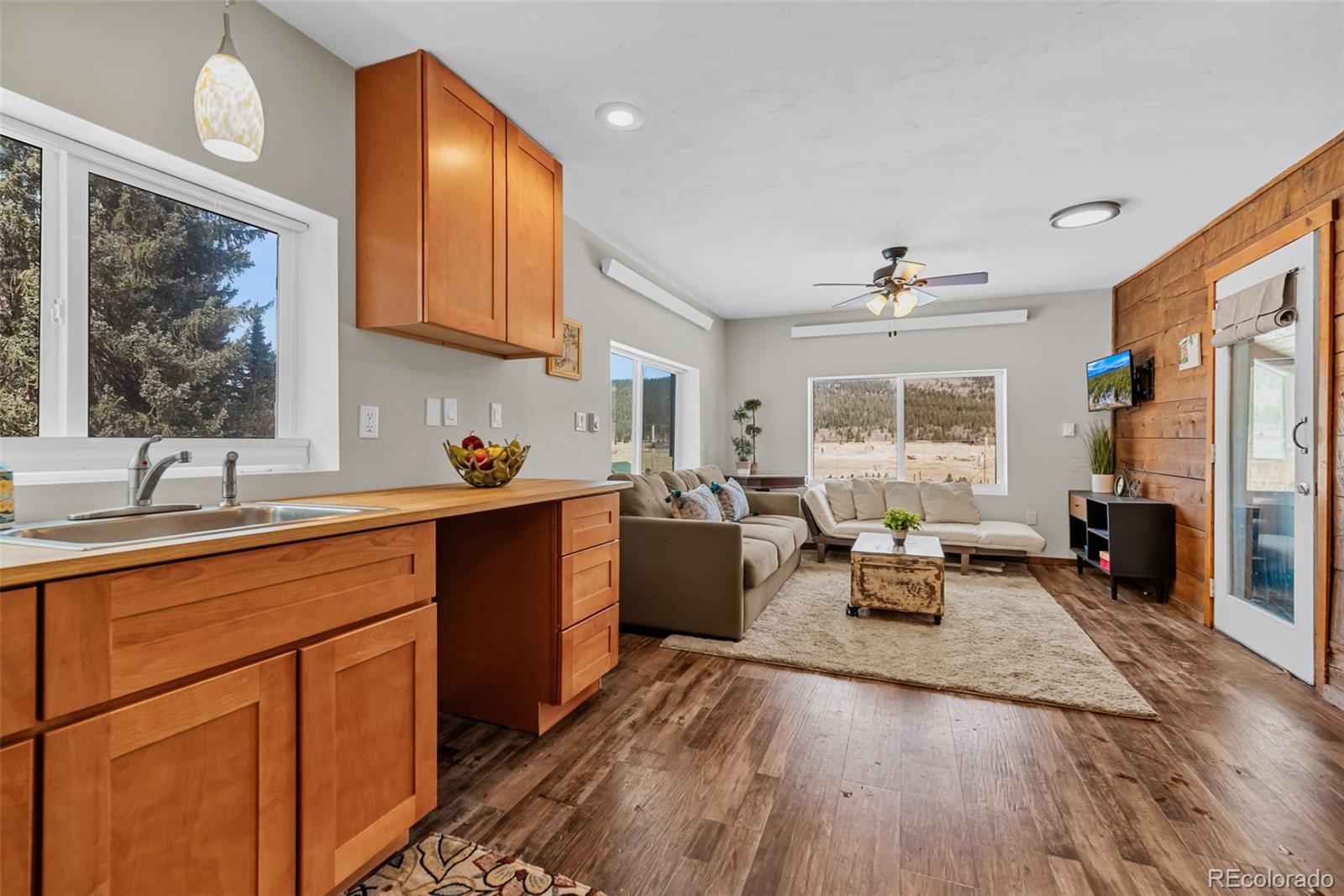 MLS Image #9 for 71  aspen street,alma, Colorado