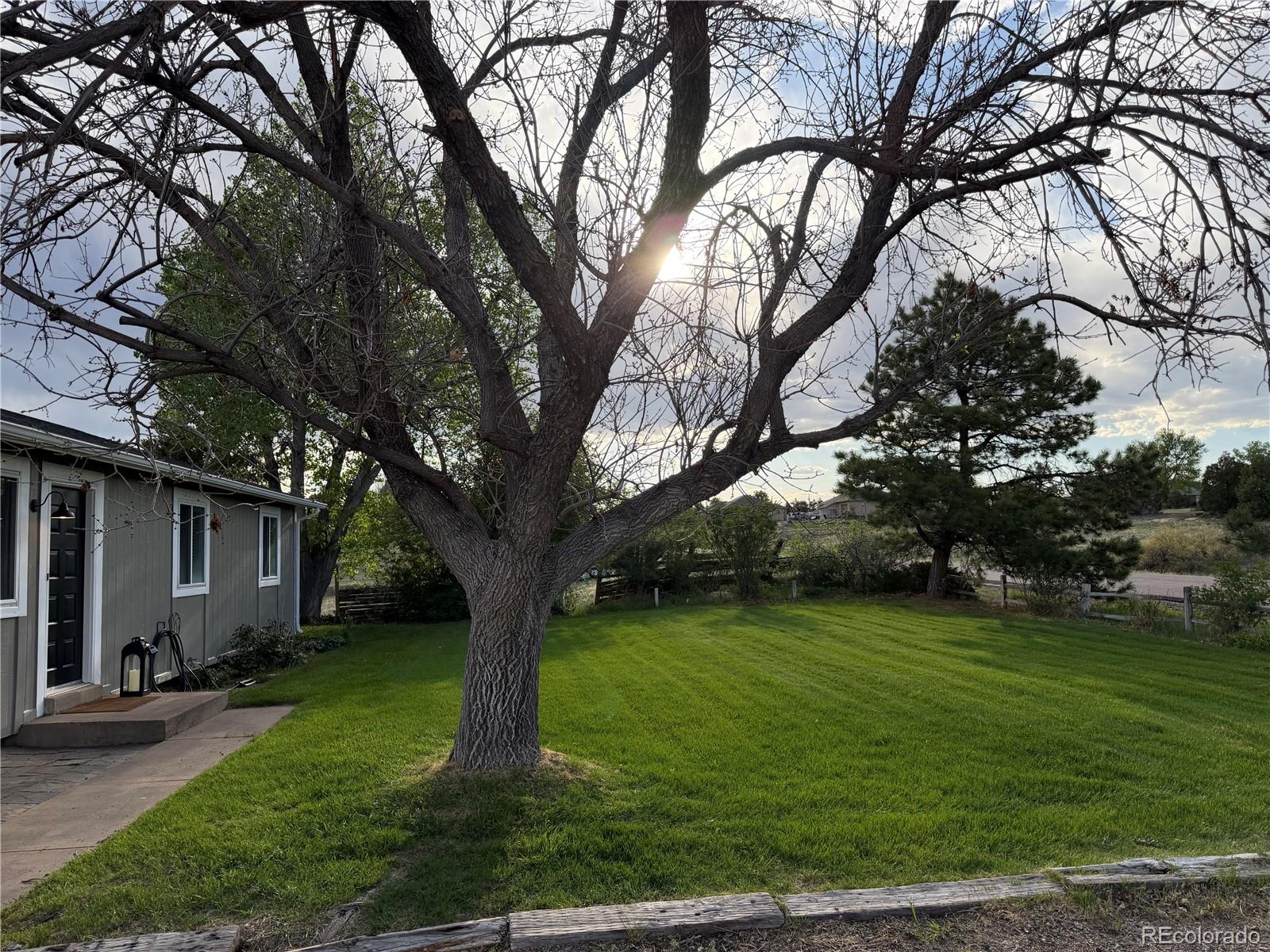 MLS Image #4 for 3410  dogwood avenue,parker, Colorado