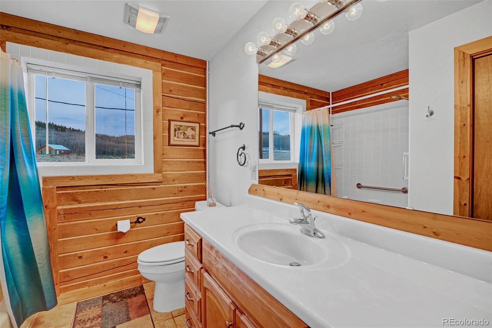 MLS Image #13 for 85  swandyke court,jefferson, Colorado