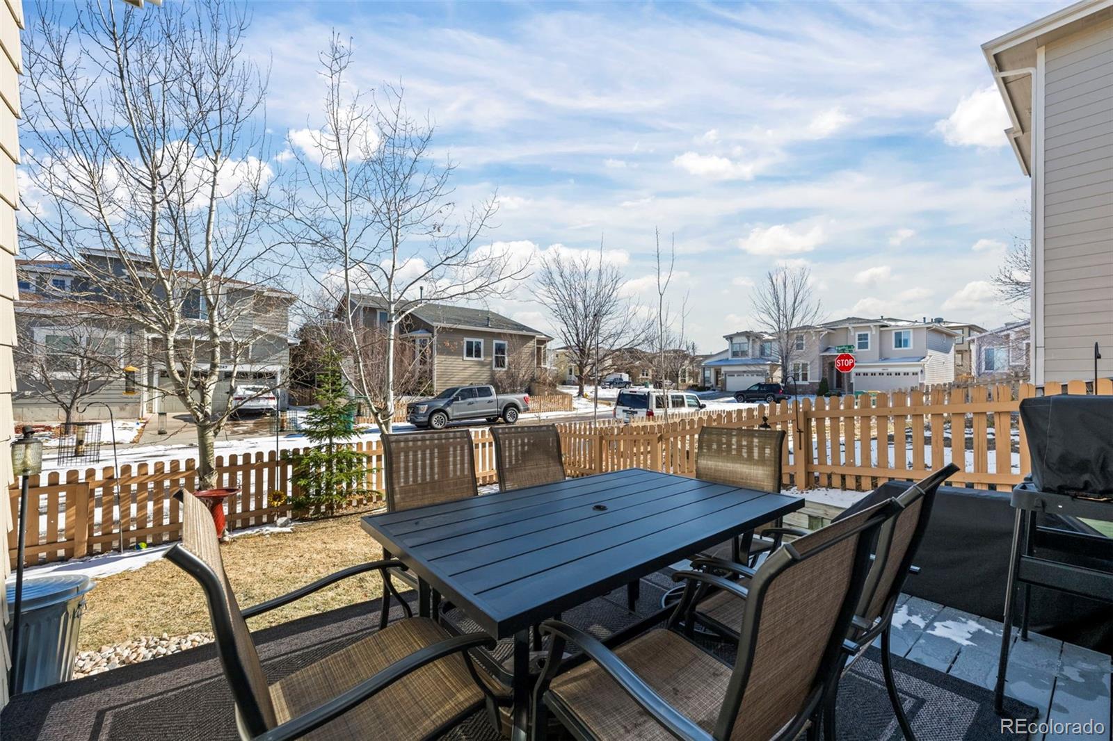 MLS Image #26 for 3232  green haven circle,highlands ranch, Colorado