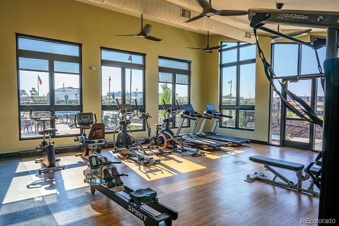 MLS Image #45 for 1154  anker drive,erie, Colorado