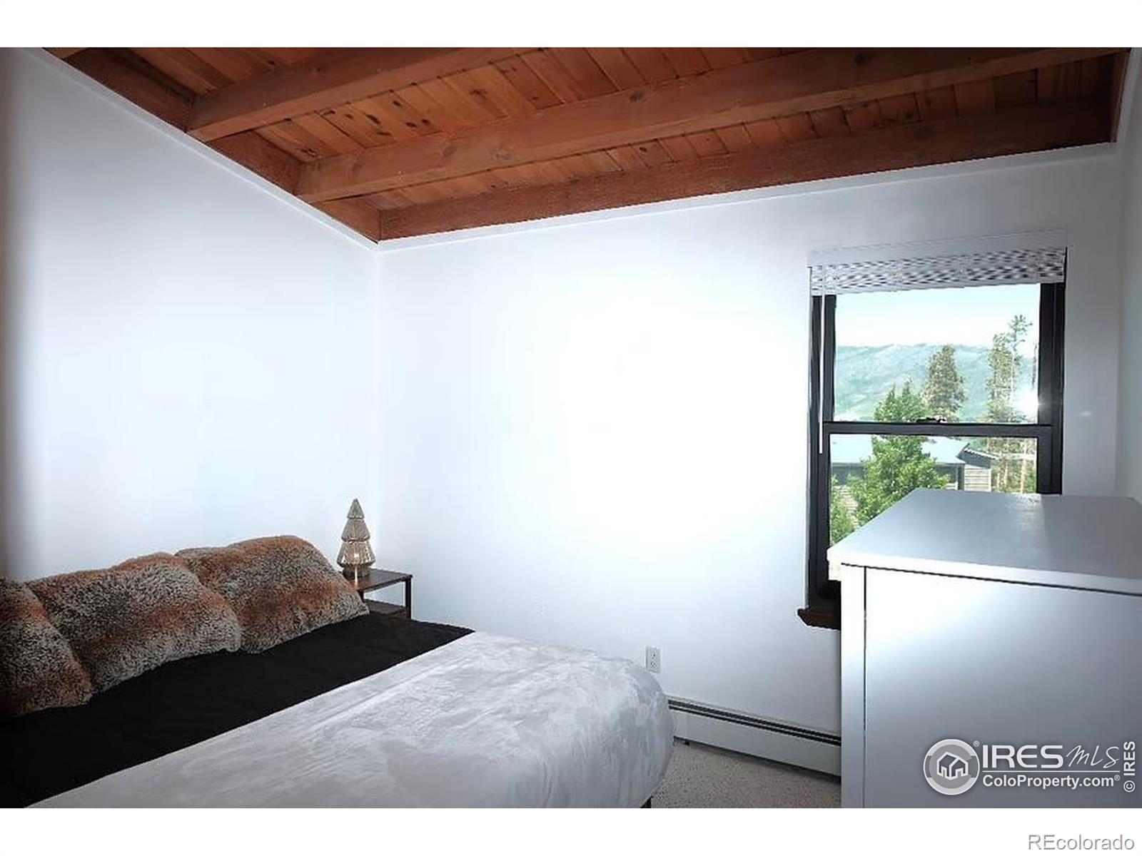 MLS Image #16 for 8500  ryan gulch road,silverthorne, Colorado