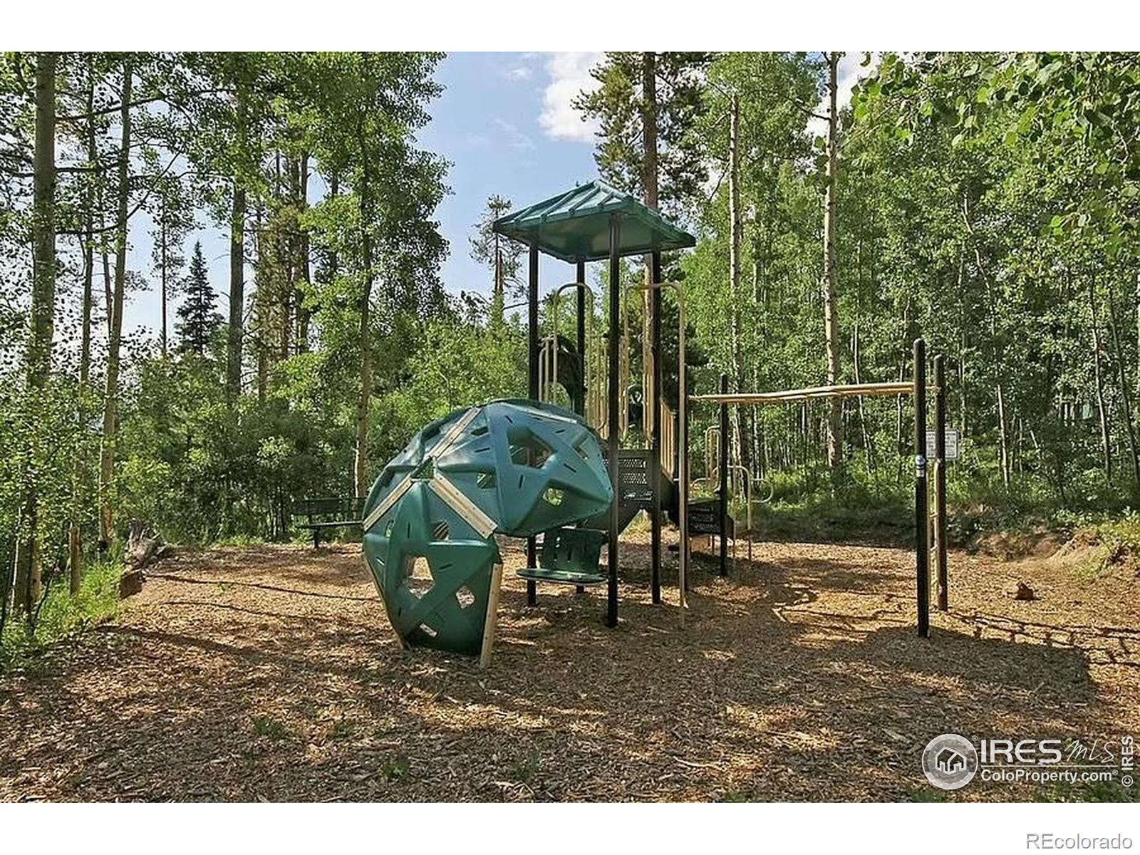 MLS Image #30 for 8500  ryan gulch road,silverthorne, Colorado